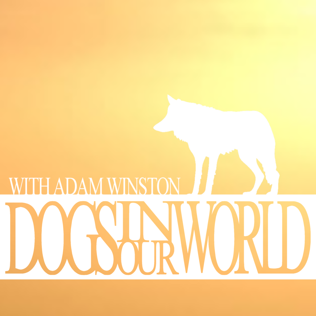 Dogs in Our World Podcast