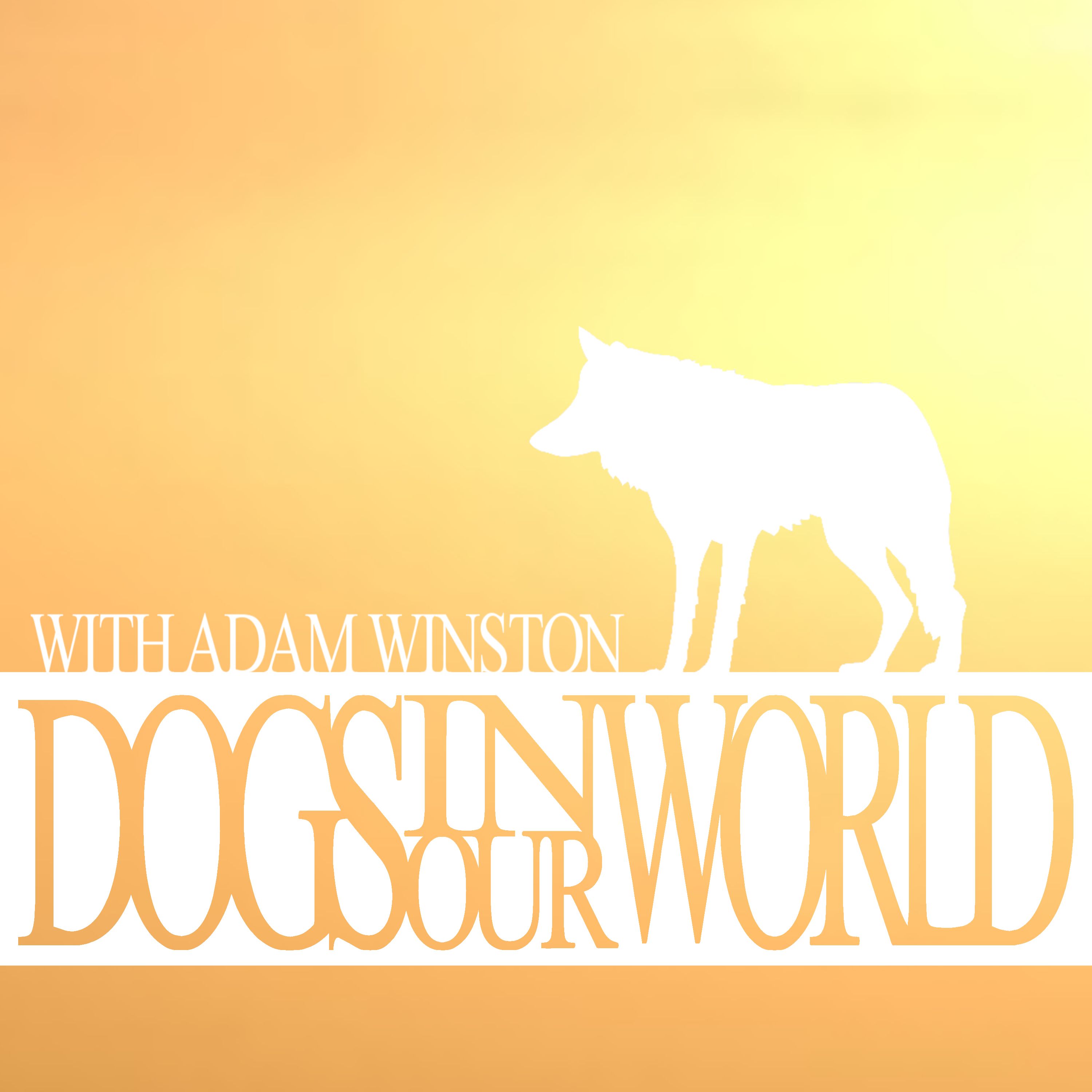 Dogs in Our World