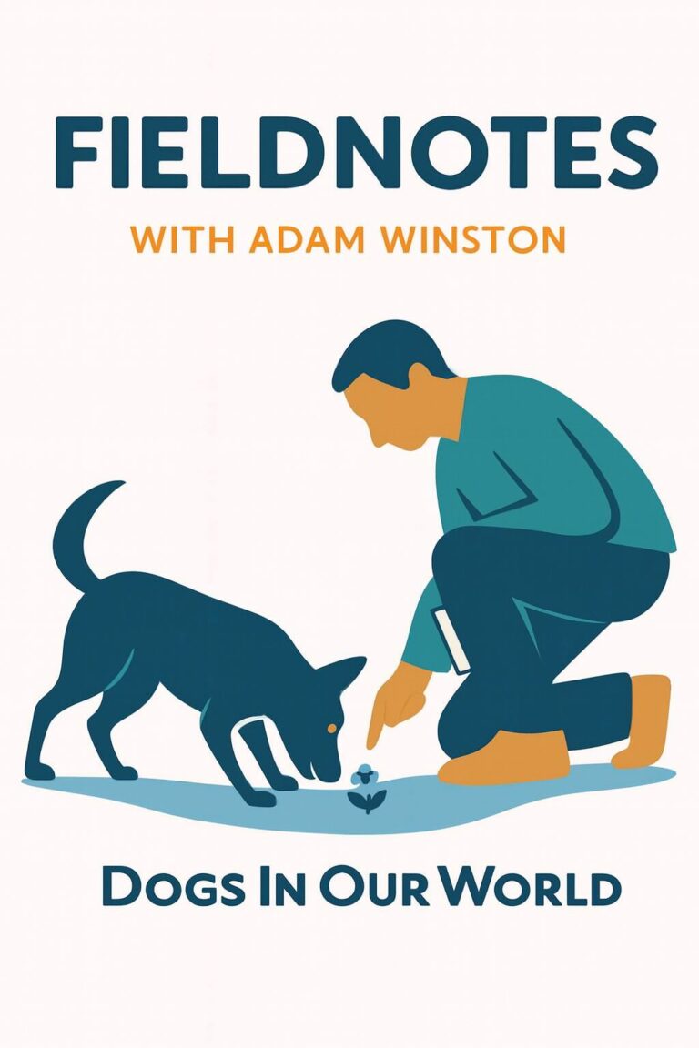 Illustration of a man crouching beside a curious dog sniffing the ground, with the word “FIELDNOTES” above them. The scene uses a clean, minimal background and full-color palette to convey exploration and shared observation.