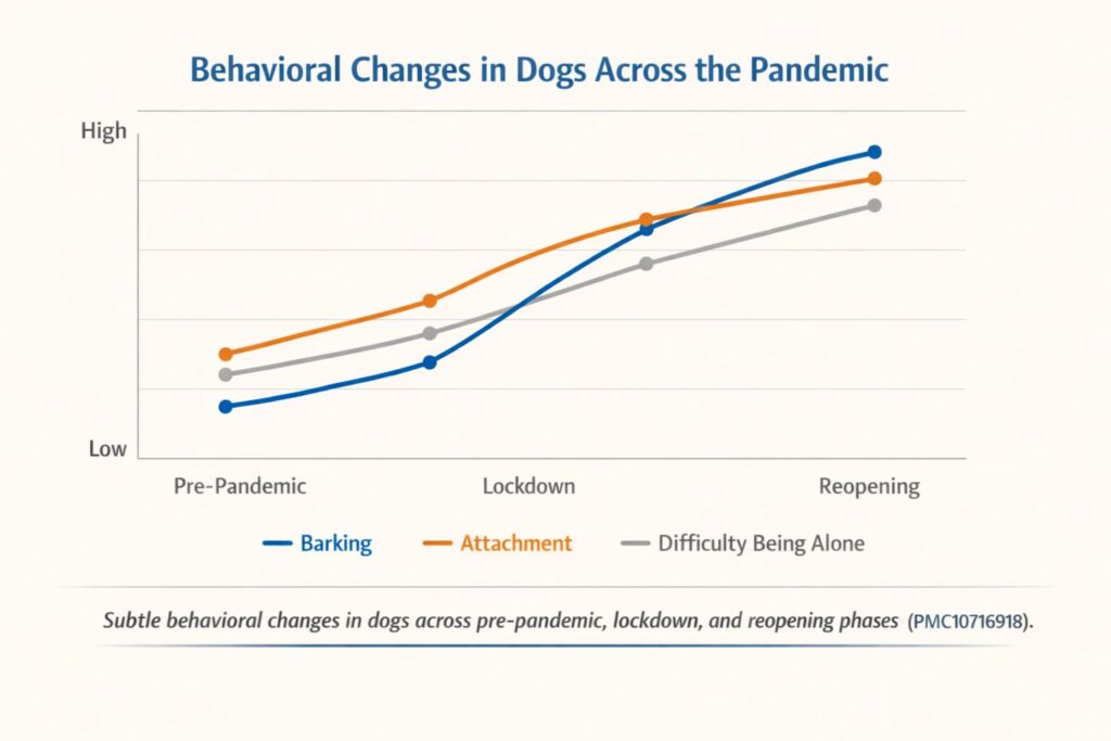 Line graph showing gradual increases in dog behaviors—barking, attachment, and difficulty being alone—across pre‑pandemic, lockdown, and reopening phases.